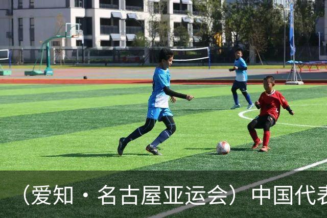 （爱知·名古屋亚运会）中国代表团前瞻：巩固优势、直面挑战